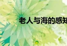老人与海的感知 读书有什么收获？