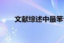 文献综述中最笨评分法最有效的一招