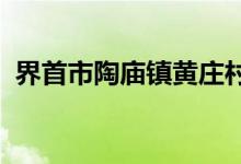 界首市陶庙镇黄庄村欣欣幼儿园的地址在哪