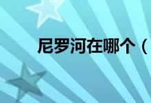 尼罗河在哪个（尼罗河流经哪些？）