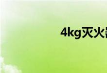 4kg灭火器多少钱一个