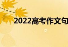 2022高考作文句子中积累的美句摘录