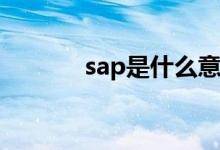 sap是什么意思(sap管理系统)