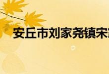 安丘市刘家尧镇宋家尧幼儿园的地址在哪