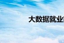 大数据就业前景与工资薪金