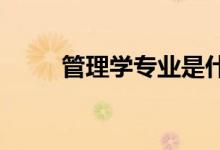 管理学专业是什么 就业前景如何？