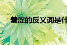 羞涩的反义词是什么(shy害羞的反义词)
