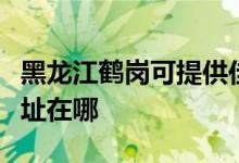 黑龙江鹤岗可提供佳能数码复合机维修服务地址在哪