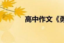 高中作文《勇敢的作文》节选
