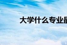 大学什么专业最赚钱最就业薪资？