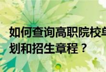 如何查询高职院校单招学校招生专业的招生计划和招生章程？
