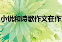 小说和诗歌作文在作文的开头开始重要的句子