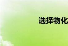 选择物化意味着什么？