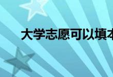 大学志愿可以填本科学校吗？怎么会？