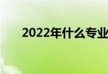 2022年什么专业好就业？女生工资高