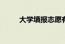 大学填报志愿有哪些技巧和方法？