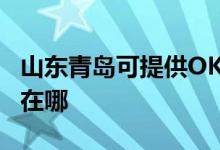 山东青岛可提供OKI针式打印机维修服务地址在哪