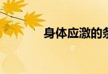 身体应激的条件要求是什么？