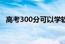 高考300分可以学软件技术吗？前景好吗？