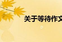 关于等待作文素材积累的美句
