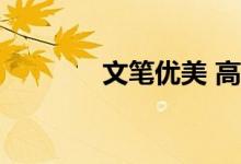 文笔优美 高考满分作文节选