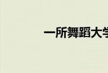 一所舞蹈大学的分数是多少？