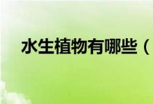 水生植物有哪些（十种常见的水生植物）