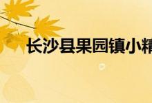 长沙县果园镇小精灵幼儿园的地址在哪