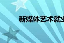 新媒体艺术就业方向有哪些岗位？