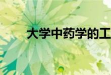 大学中药学的工资待遇和前景如何？