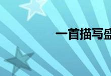 一首描写盛唐的绝美诗篇