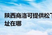 陕西商洛可提供松下安防监控系统维修服务地址在哪