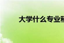 大学什么专业稍微轻松简单一点？