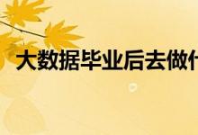 大数据毕业后去做什么工作？有哪些工作？