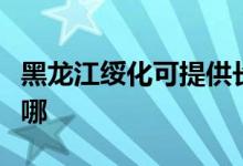 黑龙江绥化可提供长城服务器维修服务地址在哪