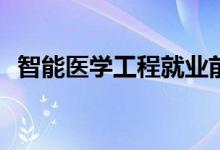 智能医学工程就业前景好吗？有哪些职位？
