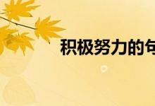 积极努力的句子正能量的句子