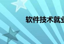 软件技术就业方向工资多少？