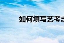 如何填写艺考志愿有哪两所学校？