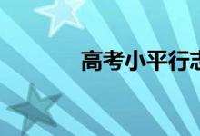 高考小平行志愿是什么意思？