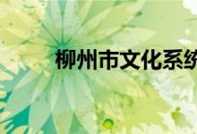 柳州市文化系统幼儿园的地址在哪