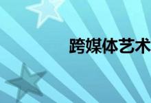 跨媒体艺术就业工资多少？