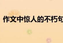 作文中惊人的不朽句子 值得摘抄的优美句子