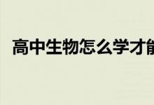 高中生物怎么学才能提高？有哪些小技巧？