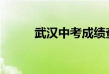 武汉中考成绩查询系统2022入口