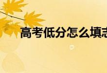 高考低分怎么填志愿？你有什么技能？