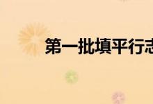 第一批填平行志愿只能报一次吗？