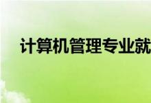 计算机管理专业就业方向有多少毕业生？