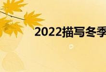 2022描写冬季景色的500字作文