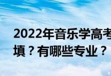 2022年音乐学高考音乐艺术考多少志愿可以填？有哪些专业？